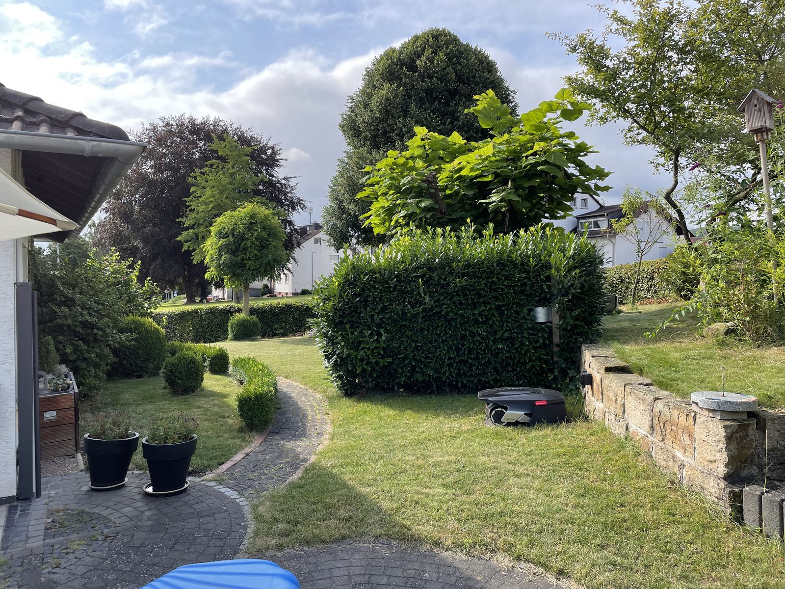 Garten mit Hecken und Wegen
